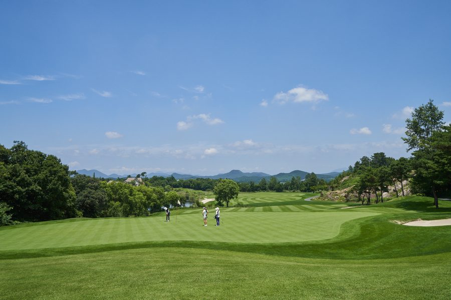 블루원 상주 그린 퍼팅 장면
